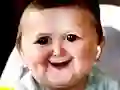 Funny Hasbulla Face Funny Hasbulla Face