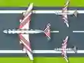 Flight Survival