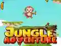 Jungle Adventure Jungle Adventure