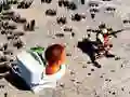 TopDown Skibidi Toilet Shooting TopDown Skibidi Toilet Shooting