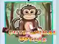 Cute Animal Rotate Cute Animal Rotate