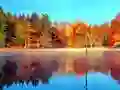 Fishing Simulator Online