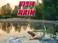 Fish Rain