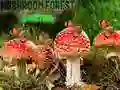 Mushroom Forest Adventure Mushroom Forest Adventure