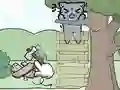 Catch The Cat Catch The Cat
