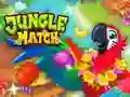 Jungle Match