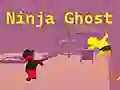 Ninja Ghost