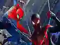 Spiderman 2 Web Shadow Spiderman 2 Web Shadow