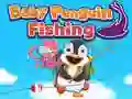 Baby Penguin Fishing Baby Penguin Fishing