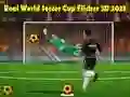 Real World Soccer Cup Flicker 3D 2023