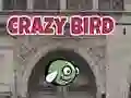 Crazy Bird Crazy Bird