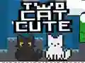 Two Cat Cute Two Cat Cute