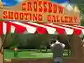 Crossbow Shooting Gallery