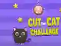 Cut For Cat Challenge Cut For Cat Challenge