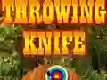 Throwing Knife Throwing Knife