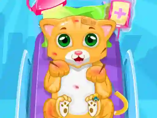 Hra Little Cat Doctor