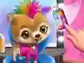 Rock Star Animal Hair Salon
