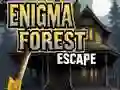 Enigma Forest Escape Enigma Forest Escape