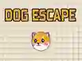 Dog Escape Dog Escape