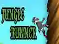 Jungle Runner