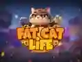 Fat Cat Life Fat Cat Life