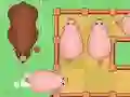 Save The Piggies Save The Piggies