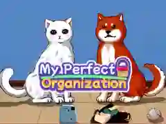 My Perfect Organization