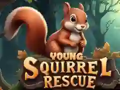 Young Squirrel Rescue