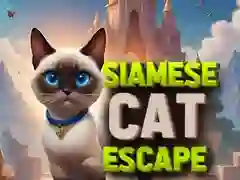 Siamese Cat Escape Siamese Cat Escape
