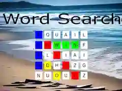 Word Search Word Search
