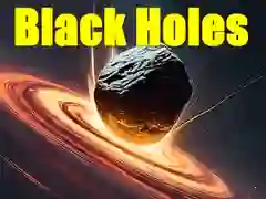 Black Holes