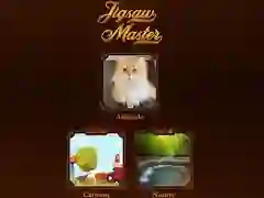 Jigsaw Master Jigsaw Master