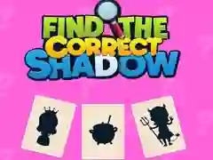 Find the Correct Shadow