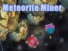 Meteorite Miner Meteorite Miner