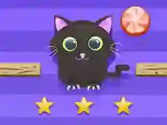 Cat Challenge Cat Challenge