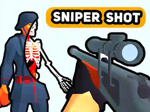 Sniper Shot: Bullet Time — free online game