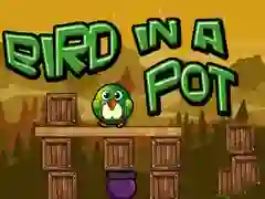 Bir In a Pot Bir In a Pot