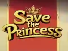 Save the Princess Save the Princess