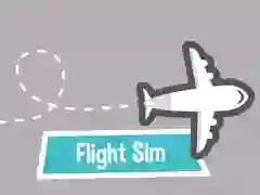 Flight Sim Flight Sim