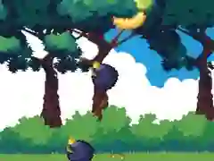 Catch The Fruits Catch The Fruits