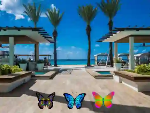Find 100 butterflies — free online game