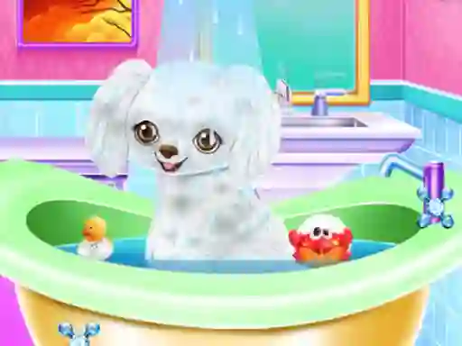 Spel My New Poodle Friend online