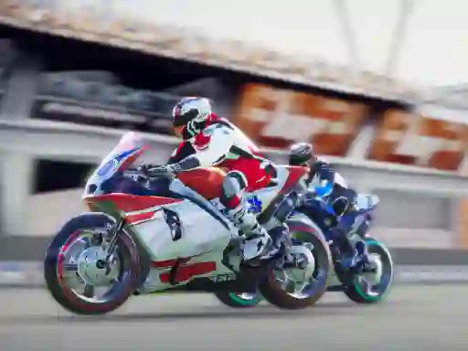Super Bike Wild Race — free online game