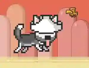 Mr Jump Husky — free online game
