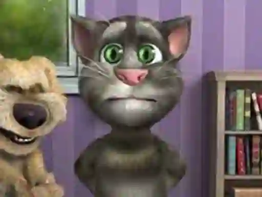 Talking Tom Funny Time — free online game