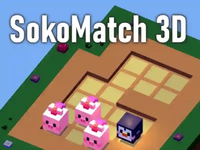 SokoMatch 3D