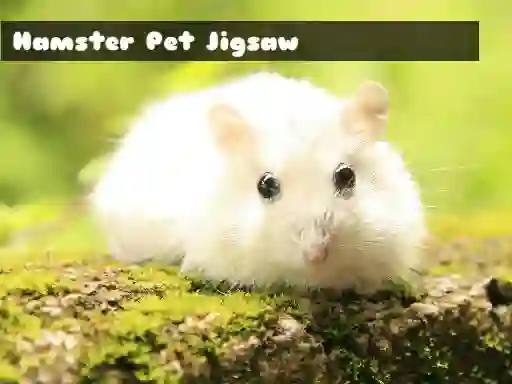 Hamster Pet Jigsaw — free online game