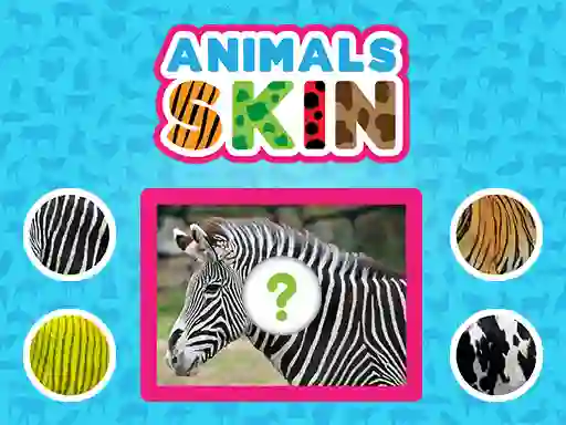 Animals Skin — free online game