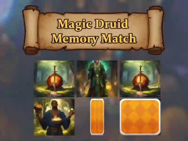 Magic Druid Memory Match