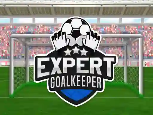 Expert Goalkeeper — free online game